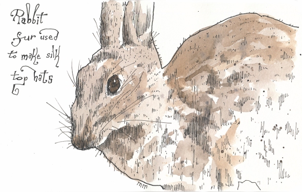 01-10 - rabbit sm